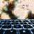 The Hidden Billions SMBs Lose to Fraud Fears