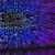 Technology Makes Financial Tracking Clearer and More Reliable